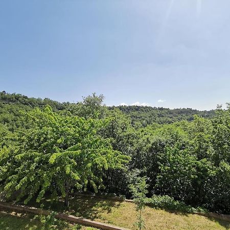 ונאקו Appartement 2 Ou 4 Personnes. Venaco מראה חיצוני תמונה